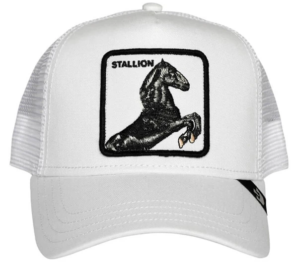 Stallion 101-9991 - Resim 2