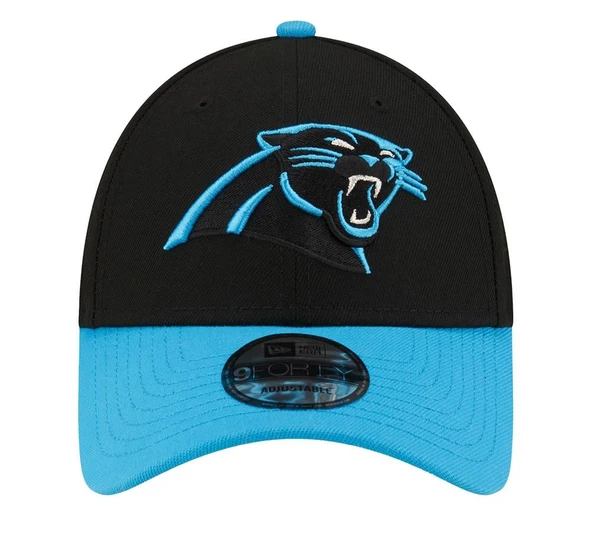 Panthers NFL 60566037 - 2