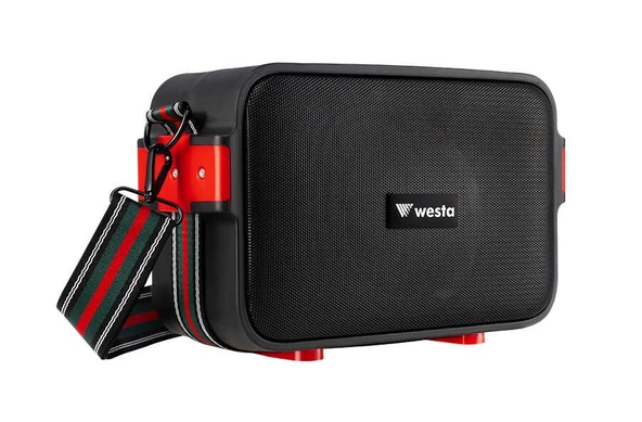 WESTA WAP-500H +1 Handheld Mic. Taşınabilir Ses Sistemi - Resim 3