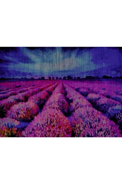 Mor Çiçek Tarlası Canvas Tablo (50x70) - 2