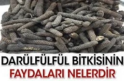 Darül Fülfül Bitki Çayı 2 Fincan Poşet - Resim 2