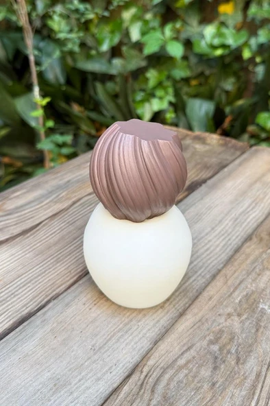 Tomp 2 Silikon Mum Kalıbı - Resim 2