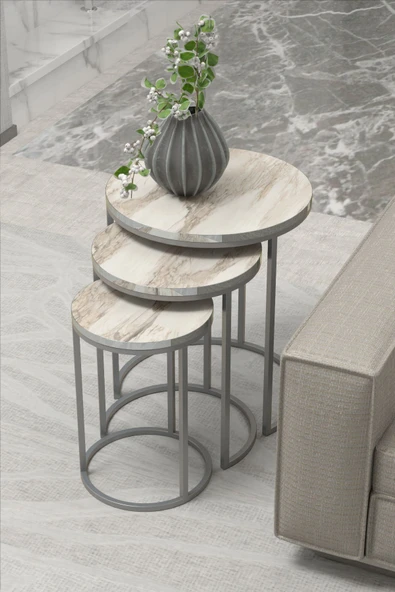 ZİGON SEHPA C LÜX GÜMÜŞ EFES ürün görseli 1