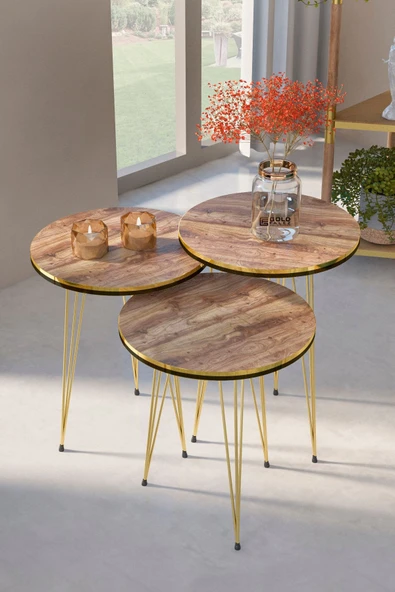 Zigon Sehpa Ve Orta Sehpa Elips Set Çift Gold Ceviz Tel - 2