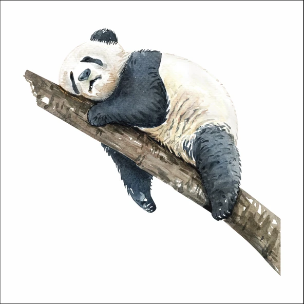 Uyuyan Panda Sticker ürün görseli 1
