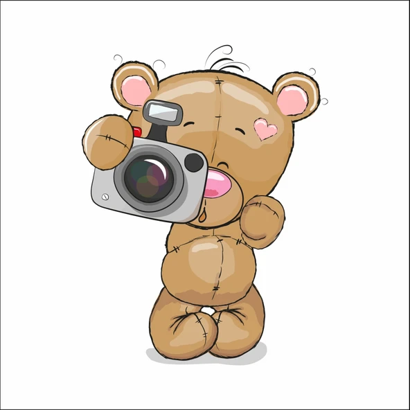 Fotoğraf Çeken Ayıcık Sticker ürün görseli 1