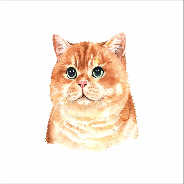 Sevimli Kedi Sticker 3 ürün görseli 1