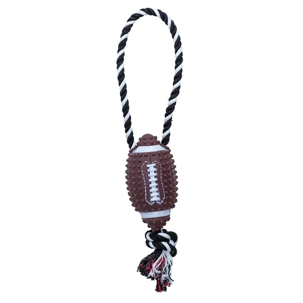 Eastland İpli Plastik Rugby Topu 15 Cm - 1