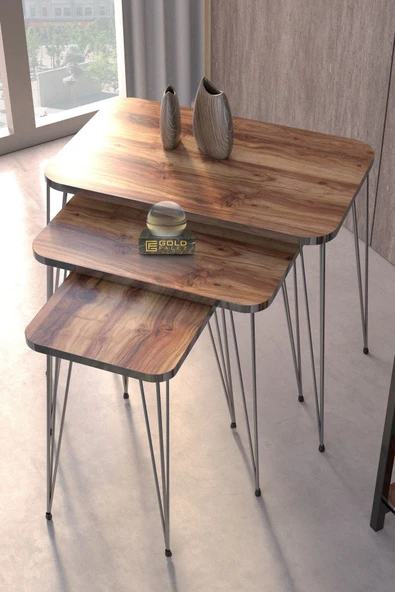 Zigon Sehpa Kr Ve Orta Sehpa Kr Set Gümüş Ceviz Tel - 4