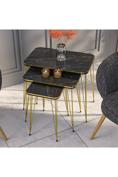 Zigon Sehpa Kr Çift Gold Bendir Tel - Resim 3