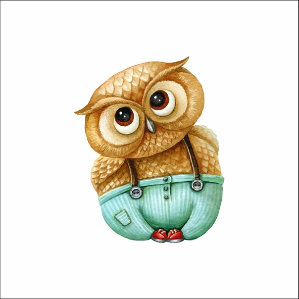 Baykuş Stikcker ürün görseli 1