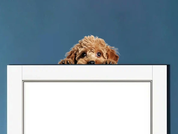 Minyatür Schnauzer Duvar Stickerı - 1