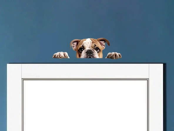 Kahverengi Beyaz İngiliz Bulldog Yavrusu Duvar Sticker'ı ürün görseli 1