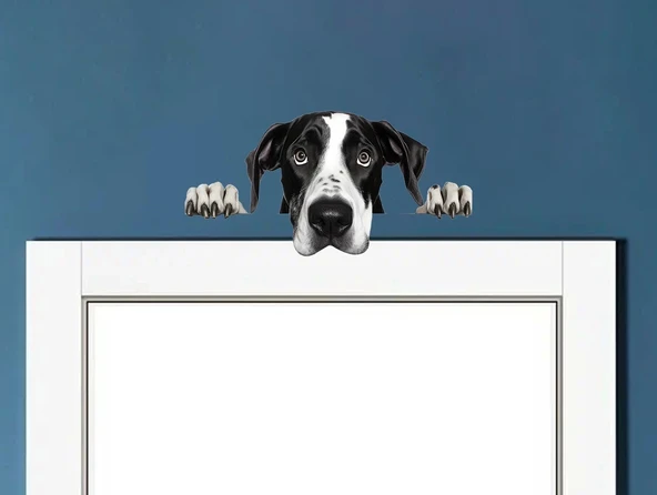 Siyah Beyaz Büyük Dane Köpek Duvar Sticker'ı ürün görseli 1
