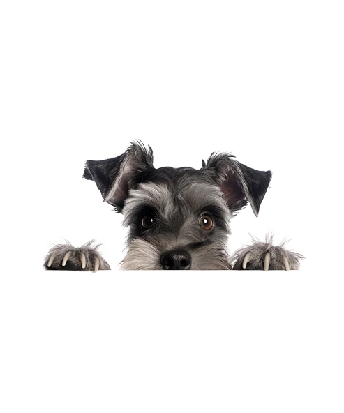 Siyah ve Bronz Köpek Duvar Stickerı - Resim 2