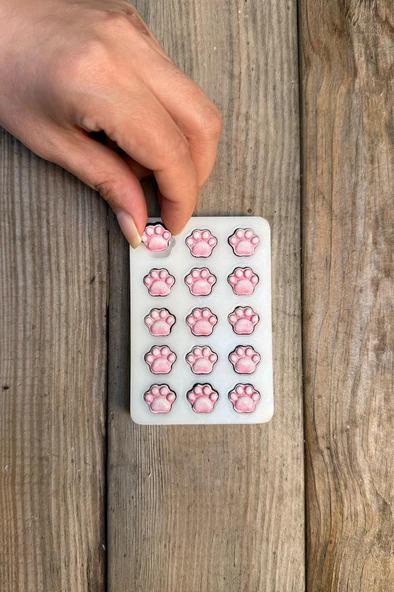 Pati Mini Onlu Silikon Mum Kalıbı