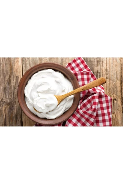 Geleneksel Yoğurtluk (4 LİTRE) - 3