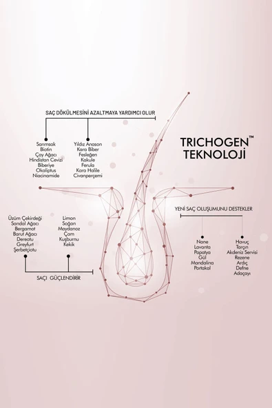 Swissoderm Dökülme Karşıtı Şampuan, Yağlı Saç, Vegan, Hızlı Uzatma, Sülfatsız Tuzsuz Saç Dökümesine Karşı 300ml - 3