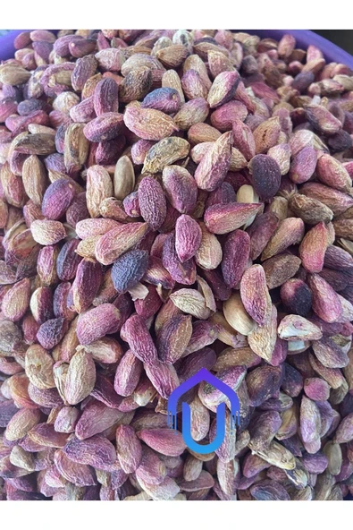 Fıstık Adası Yeni Mahsül Çiğ Kabuklu Antep Fıstığı Net:1kg - 3