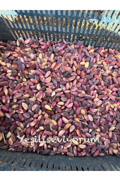 antepistachios Kuru Kırmızı Çiğ En Lezzetli Ağaç Altı Antep Fıstığı 100 Gram Eylül 2024 Taze Mahsül Üreticisinden - 3