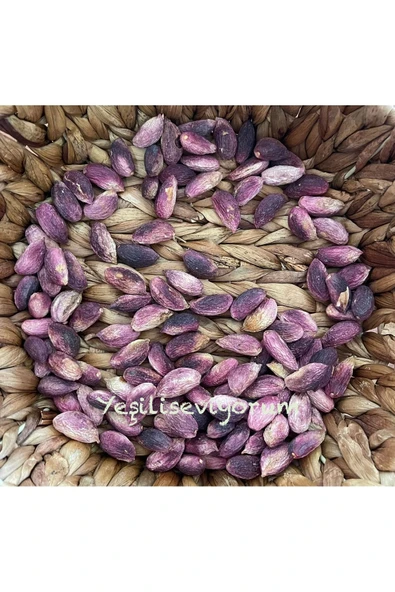 antepistachios 1. Kalite Kuru Kırmızı Çiğ Antep Fıstığı Fıstık 1 Kilogram Eylül 2024 Yeni Mahsül Üreticiden - 2