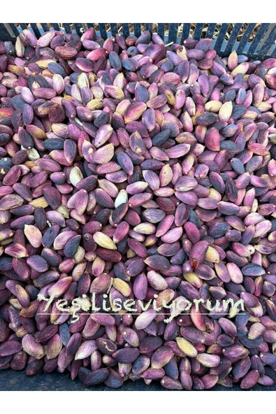 antepistachios Kuru Kırmızı Çiğ Kabuklu En Lezzetli Ağaç Altı Antep Fıstığı 1 Kilogram Eylül 2024 - 4