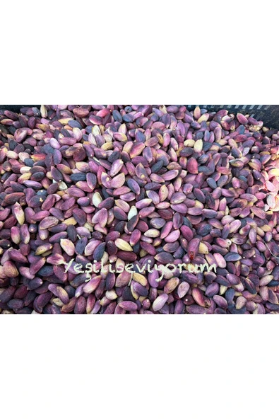 antepistachios Kuru Kırmızı Çiğ En Lezzetli Ağaç Altı Antep Fıstığı 100 Gram Eylül 2024 Taze Mahsül Üreticisinden - 2