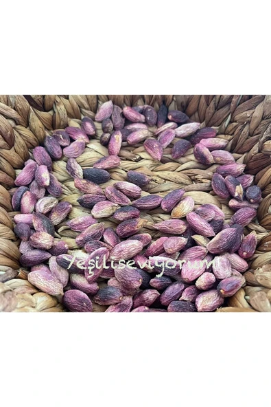antepistachios 1. Kalite Kuru Kırmızı Çiğ Antep Fıstığı Fıstık 1 Kilogram Eylül 2024 Yeni Mahsül Üreticiden