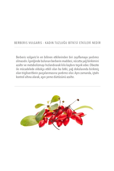 Nutriplus Berberis Vulgaris (KARAMUK) Ekstresi 30 Kapsül - 2