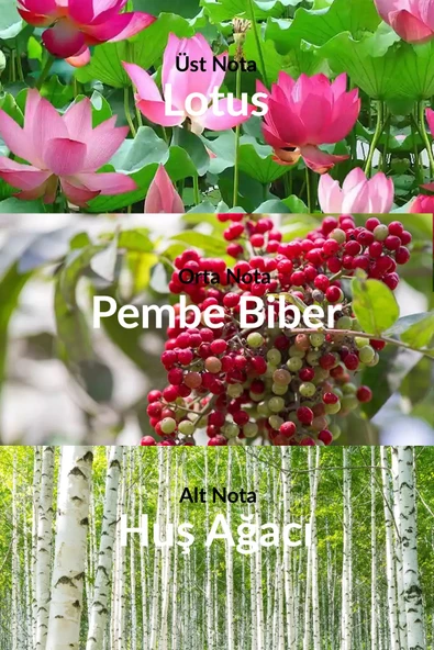 Summer White Sunset Kadın Parfüm Edt 50 ml - 3