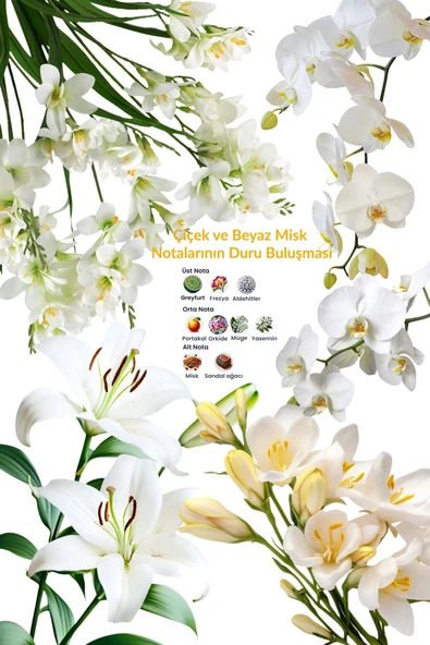 Summer White Edt 50 ml Kadın Parfümü 8681298900382 - 3