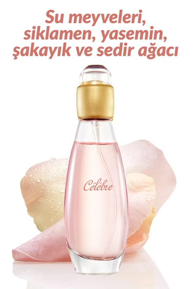 Celebre Kadın Parfüm Edt 50 Ml. - 2