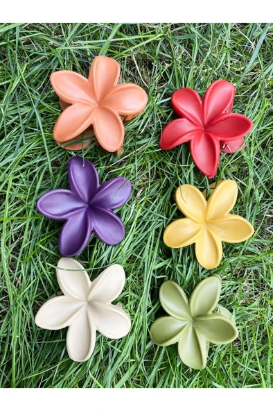 Rengarenk Lotus Çiçeği Mandal Toka 6'lı - 5