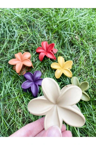 Rengarenk Lotus Çiçeği Mandal Toka 6'lı