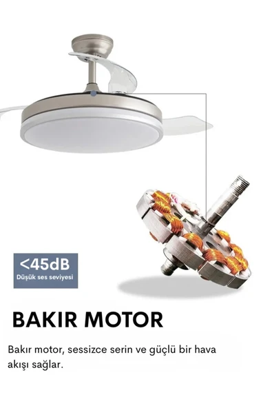 Dlc Zonda 107 Cm Gümüş Renk Led Tavan Vantilatörü - 4