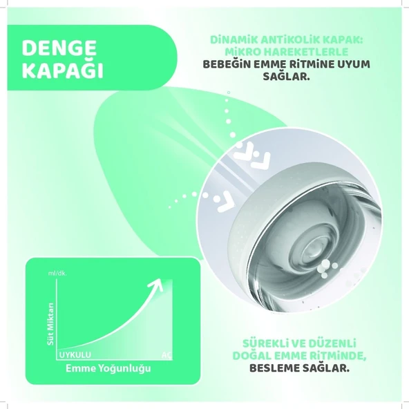 Perfect 5 Antikolik Biberon PP 240 ml Girl - 8