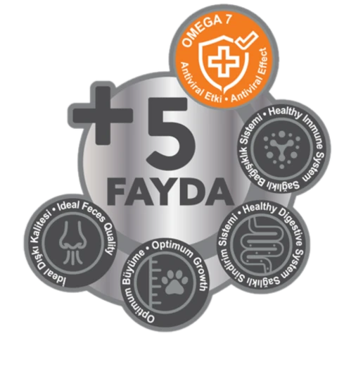 Signature Tavuklu Yavru Kedi 2 kg - 3