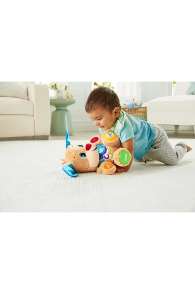 Fisher Price Eğitici Köpekçik FPN79