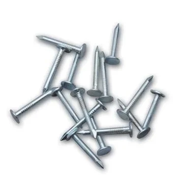 Şıngıl Çivisi 2,5 Kg - 1