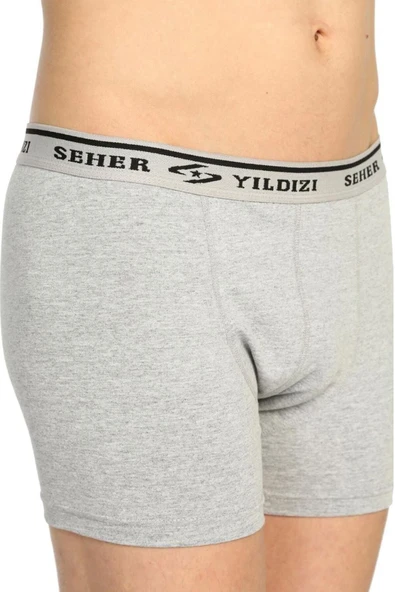 Seher Yıldızı Erkek Gri  Likralı Boxer