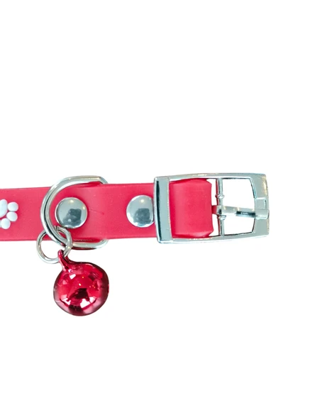 Petzoom Silikon KediTasması PZT 707 - 3