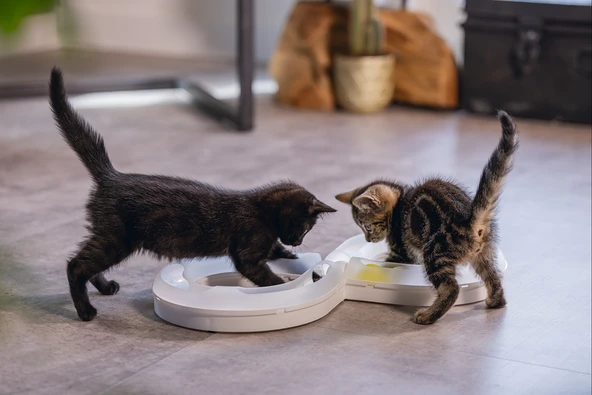 Beeztees Yavru Kedi Oyuncağı, 50x24x5,5cm - Resim 3