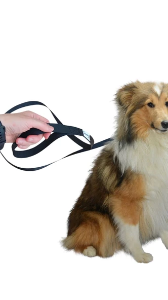 150 cm, Köpek Gezdirme İpi, Köpek Gezdirme Kayışı ,Mr. Lucky Pets