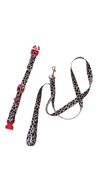 Köpek Gezdirme Ipi , Boyun Tasması, 2 li set - 3