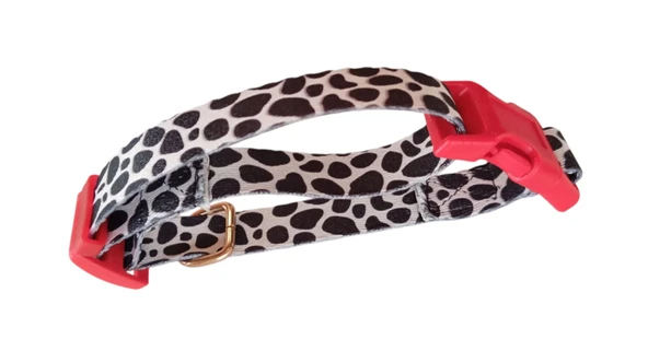 Köpek Gezdirme Ipi , Boyun Tasması, 2 li set