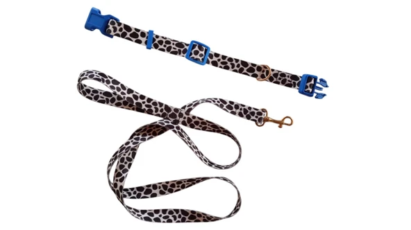Köpek Gezdirme Ipi ,Boyun tasması , 2 li Set - 3