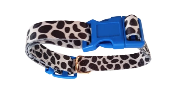 Köpek Gezdirme Ipi ,Boyun tasması , 2 li Set