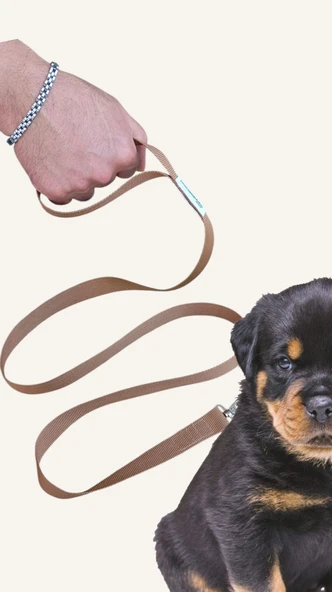 150 cm, Köpek Gezdirme İpi, Köpek Gezdirme Kayışı ,Mr. Lucky Pets - 2