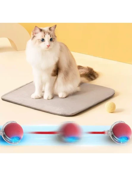 Yeni Nesil Akıllı Hareketli Şarjlı Kedi Köpek Oyuncağı(GRİ) - 4