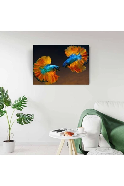 Beta Balıkları Canvas Tablo (50x70) - 6